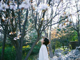 /gnxw/18156.html