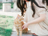 /gnxw/18245.html